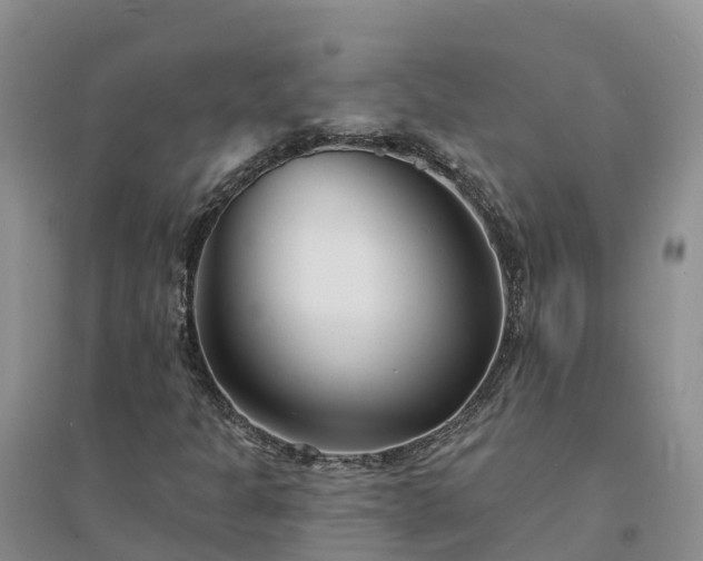 X0000094331301200711091355