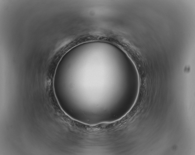 X0000094331302200711091355