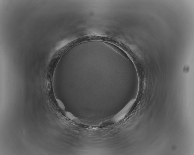 X0000094331303200711091355