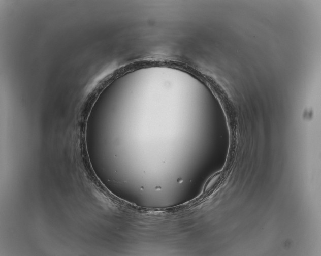 X0000094331304200711091355