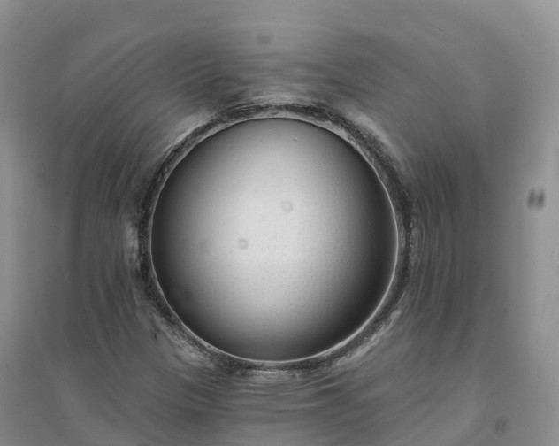 X0000094331305200711091355
