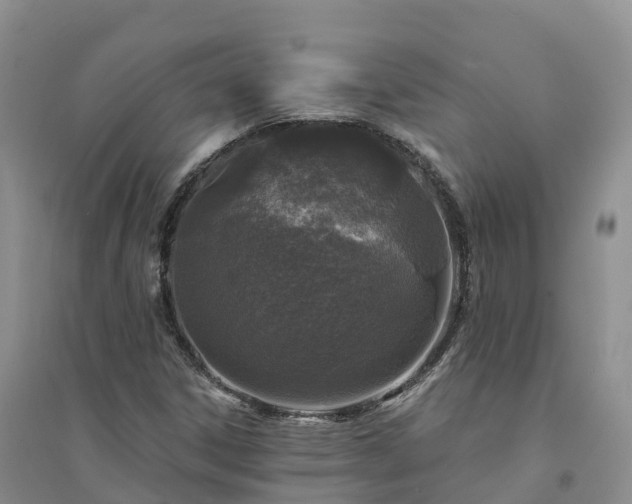 X0000094331306200711091355