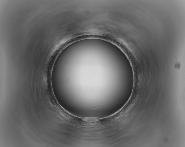 X0000094331307200711091355