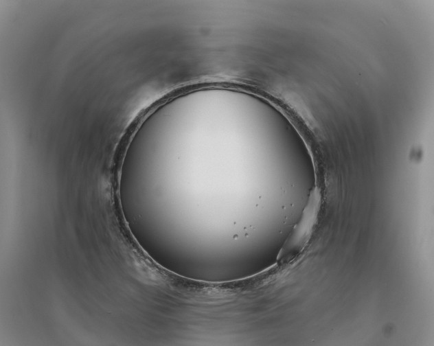 X0000094331308200711091355