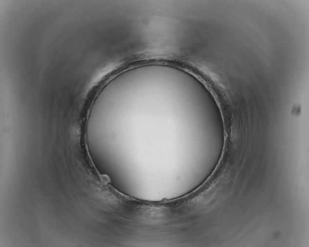X0000094331309200711091355