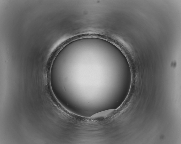 X0000094331310200711091355