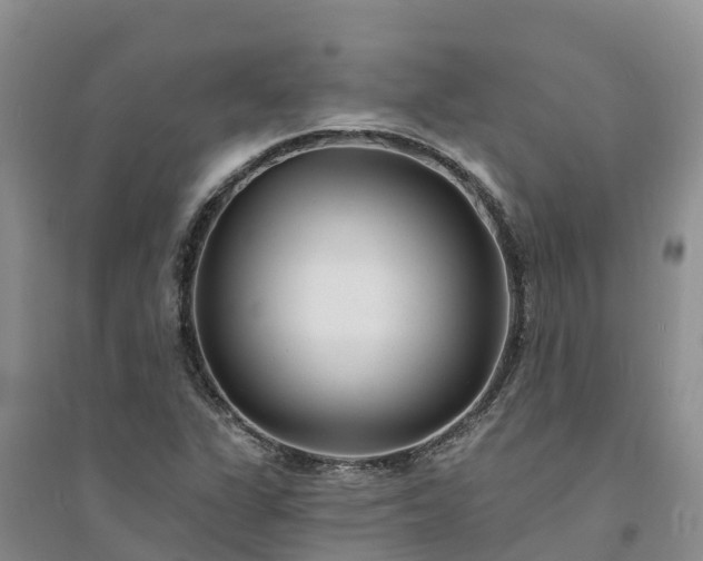 X0000094331311200711091355