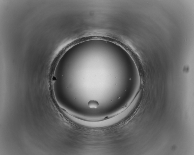 X0000094331312200711091355