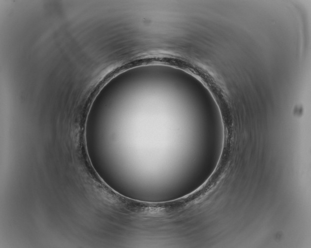 X0000094331313200711091355