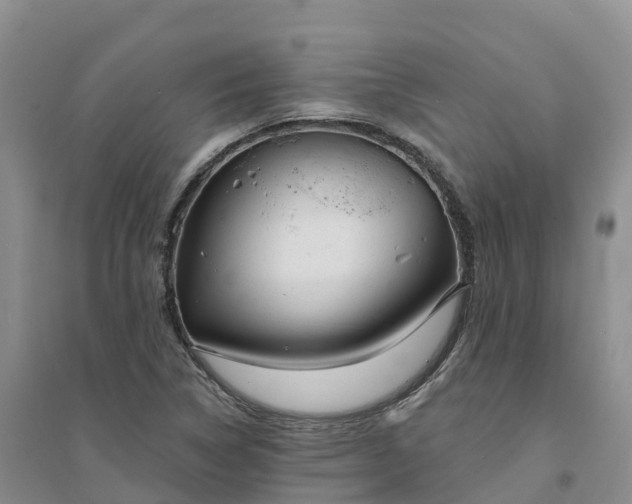 X0000094331314200711091355