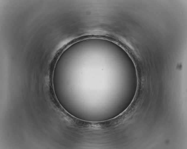 X0000094331315200711091355