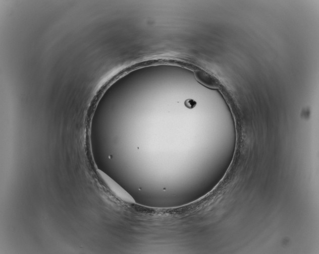 X0000094331316200711091355