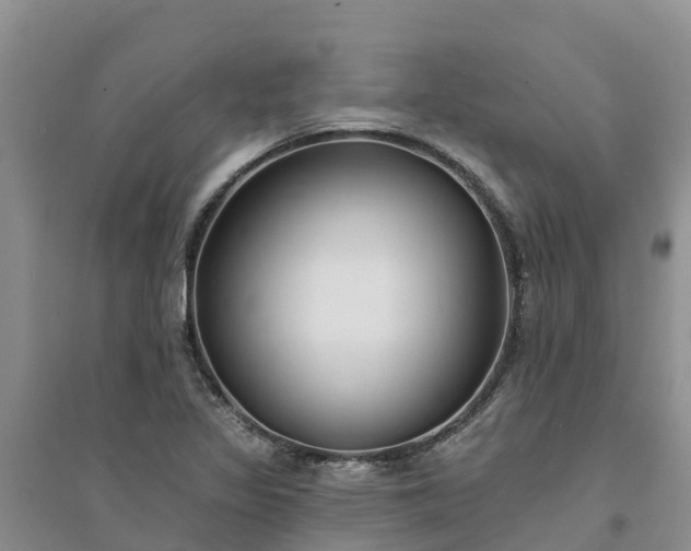 X0000094331317200711091355