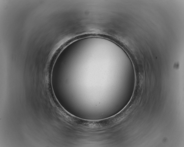 X0000094331318200711091356