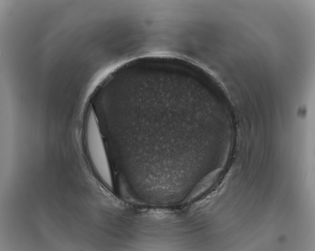 X0000094331319200711091356