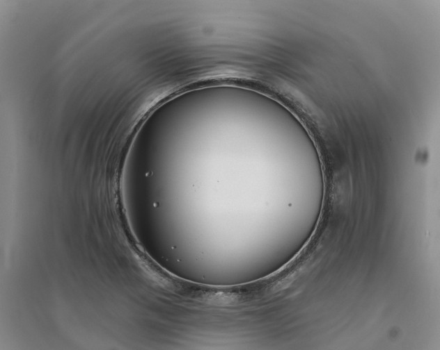 X0000094331321200711091356