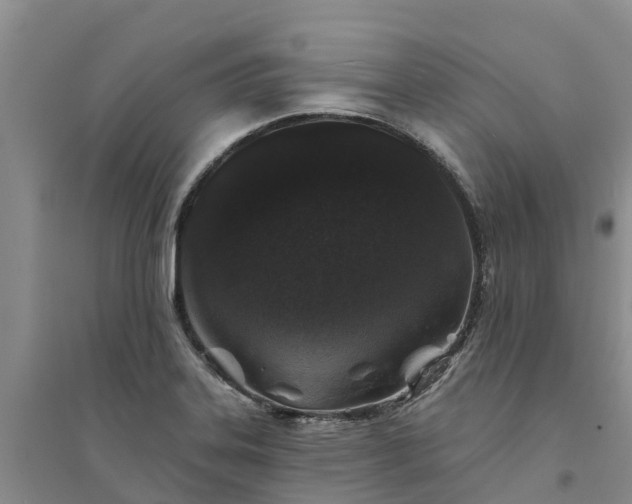 X0000094331323200711091356