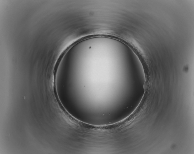 X0000094331324200711091356