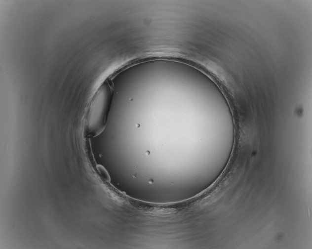 X0000094331325200711091356