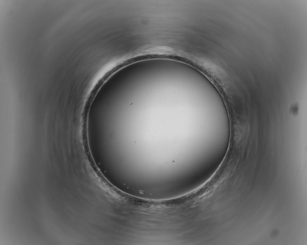 X0000094331326200711091356