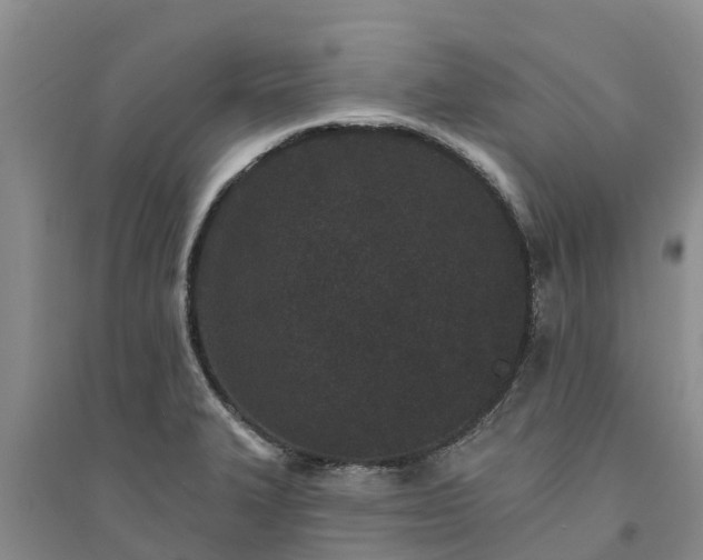 X0000094331327200711091356