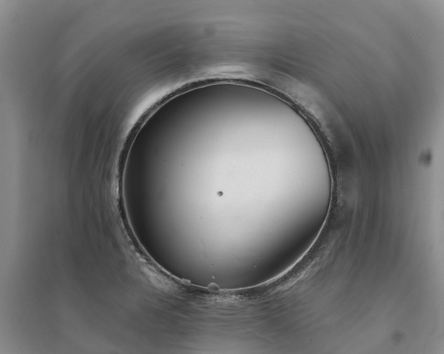X0000094331328200711091356