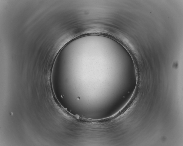 X0000094331329200711091356