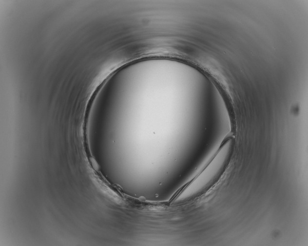 X0000094331330200711091356
