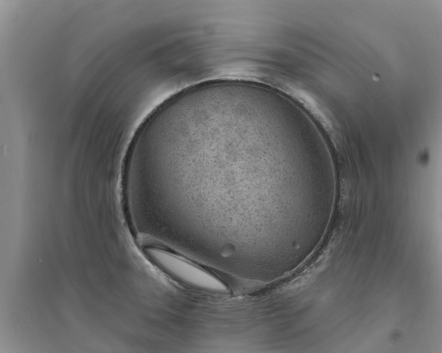 X0000094331331200711091356
