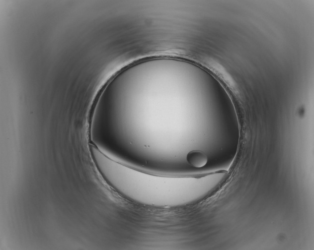 X0000094331332200711091356
