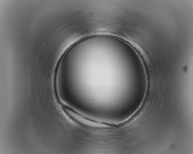 X0000094331333200711091356