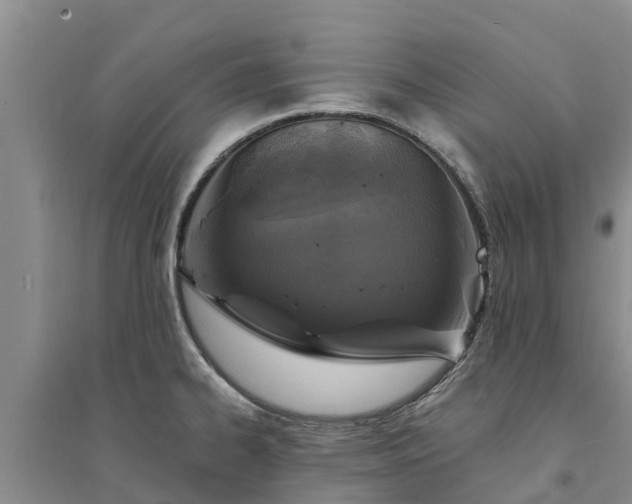 X0000094331334200711091356