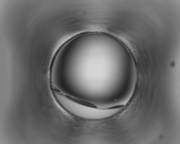 X0000094331335200711091356