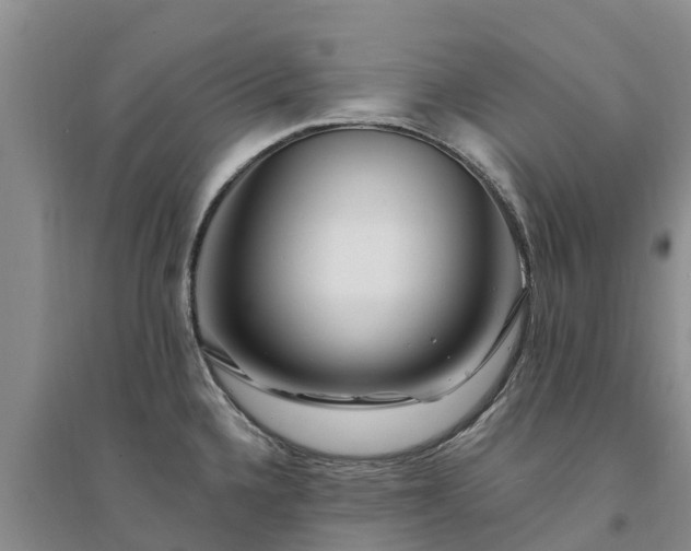 X0000094331336200711091356