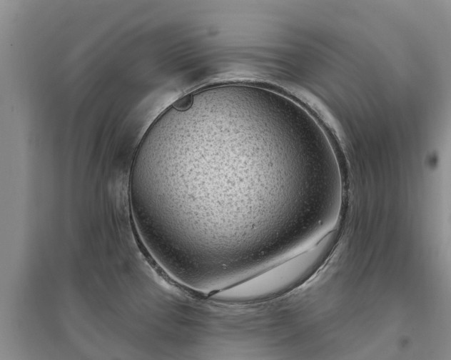 X0000094331337200711091356