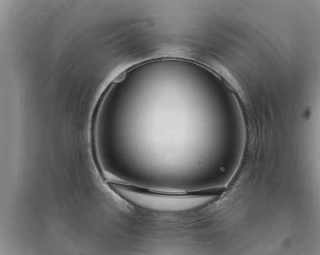 X0000094331339200711091356