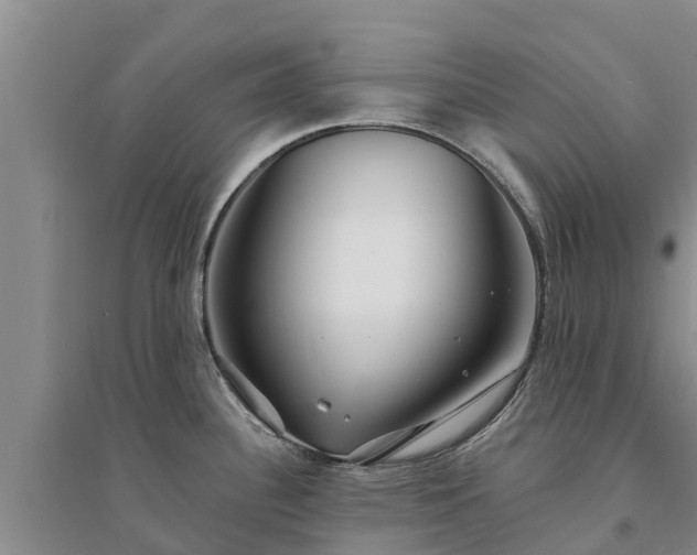 X0000094331340200711091356