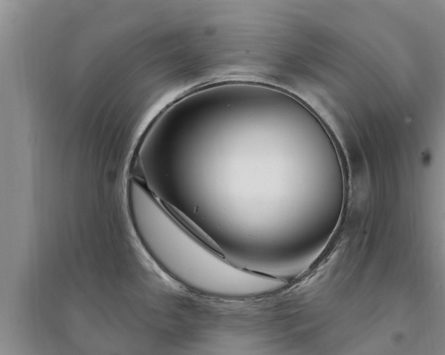 X0000094331341200711091356
