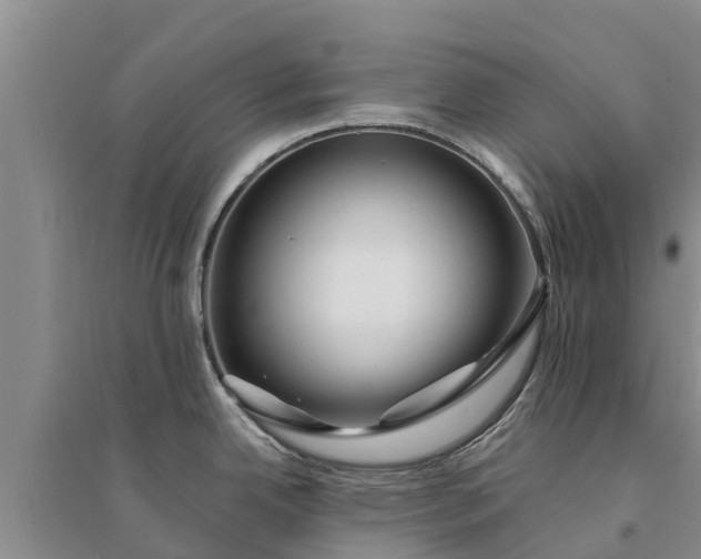 X0000094331342200711091356