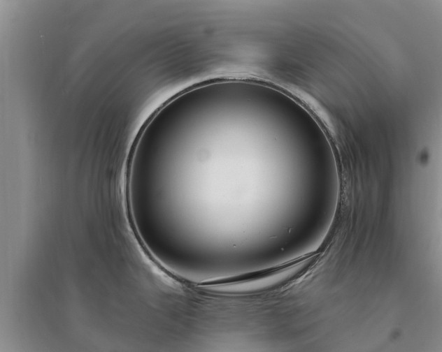 X0000094331343200711091356