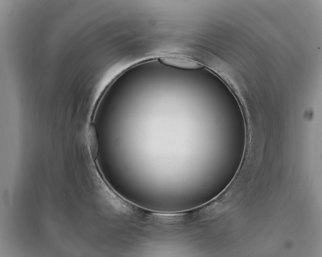 X0000094331344200711091356