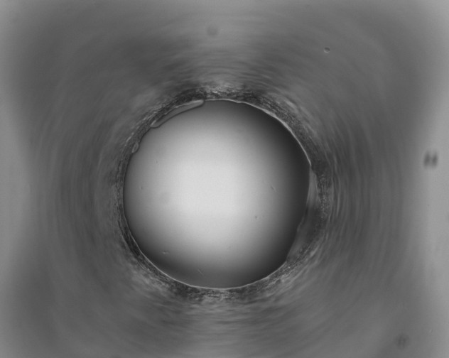 X0000094331345200711091355