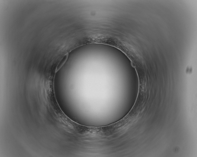X0000094331346200711091355