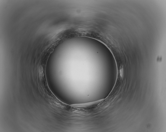 X0000094331347200711091355