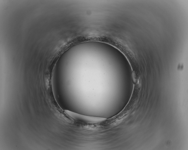 X0000094331348200711091355