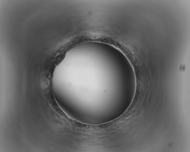 X0000094331349200711091355