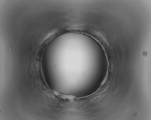 X0000094331350200711091355