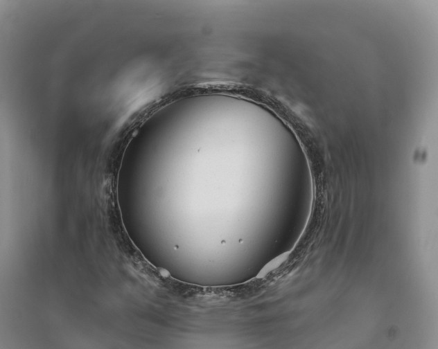 X0000094331351200711091355