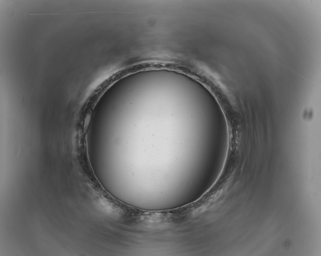 X0000094331352200711091355