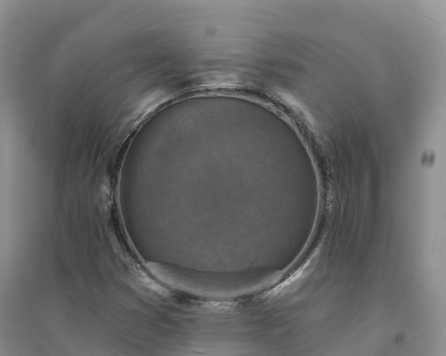 X0000094331353200711091355